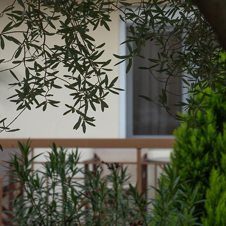 Guesthouse Adonis Като-Лутракі Екстер'єр фото