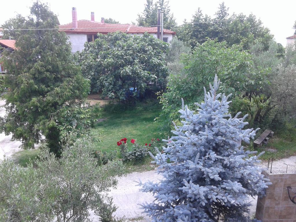 Guesthouse Adonis Като-Лутракі Екстер'єр фото
